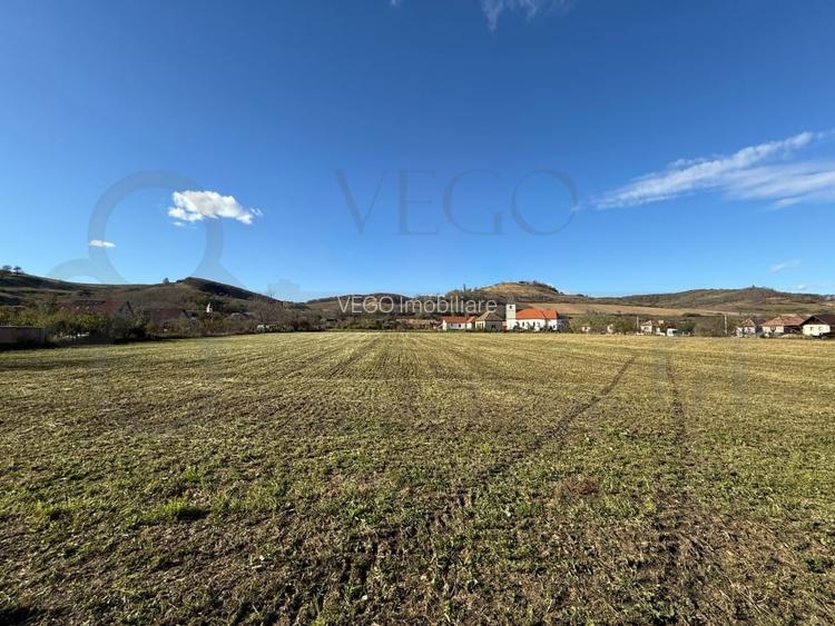 Teren intravilan de vanzare in Alma jud. Sibiu – 7.342 mp