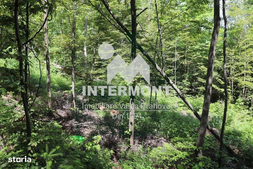 Teren Sinaia Zona Centrala, 500mp, Vedere Montana, Toate Utilitatile - 1