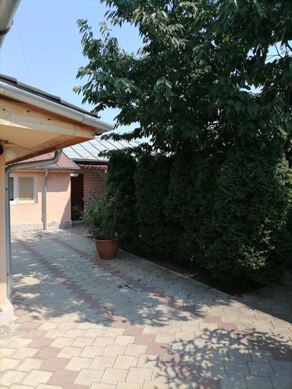 Proprietate frumoasa Vatra Noua - 3