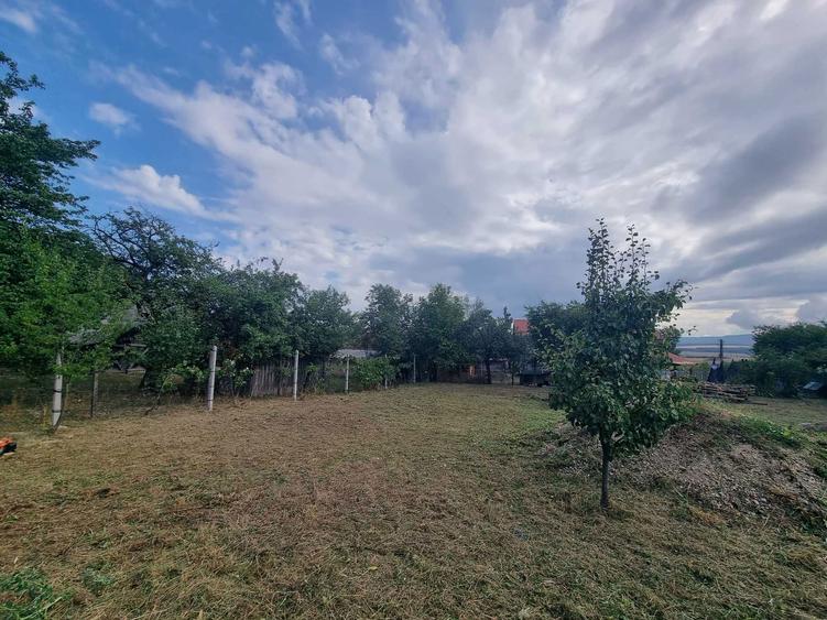 Anunt de Vanzare Teren in Viile Satu Mare Titlu: Teren Ideal pentru Constructie Strada Libertatii nr. 4 - 5