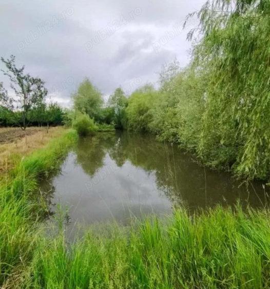Casa Ru?eni , hala industriala, balta de pescuit , 1,5 ha teren - 4