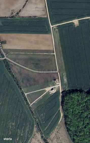 Teren | Poiana Ciolpani | Iris Orangerie - 2