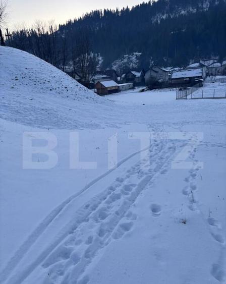 Teren de vanzare in Vorone?, 6000 mp + o casa batranea - 4