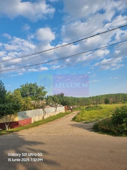 Se vinde teren 2150 mp in Teisori Giurgiu - 3