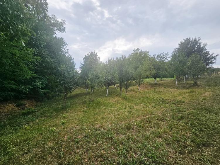 Teren intravilan, cu priveliște– Vălenii de Munte - 7