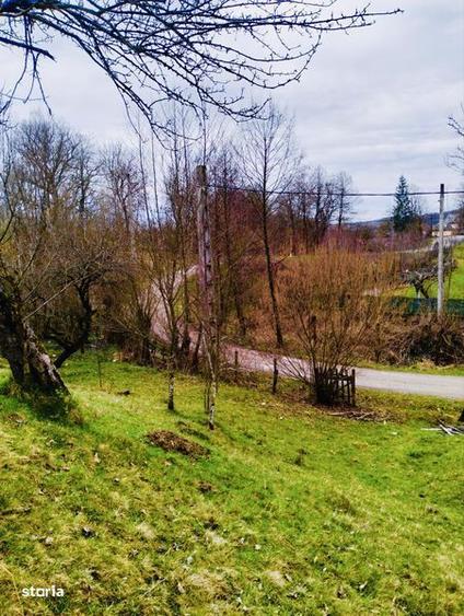 Ocazie! Vand teren Curtea de Arges glamping/ casa vacanta/ pensiune - 4