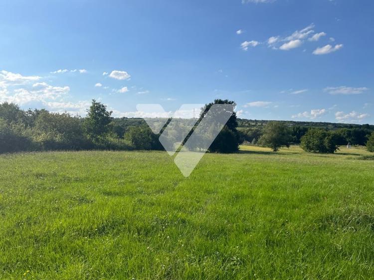 Teren intravilan constructii 6668 mp - Rasinari, Sibiu - 4