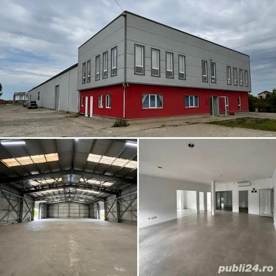 Inchiriez Hala 700mp + 130mp birouri Manolache - Ilfov A0-A2-DnCB - 1
