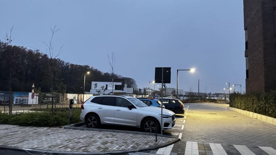 De inchiriere 2 camere cu gradina in Amber Forest - 4