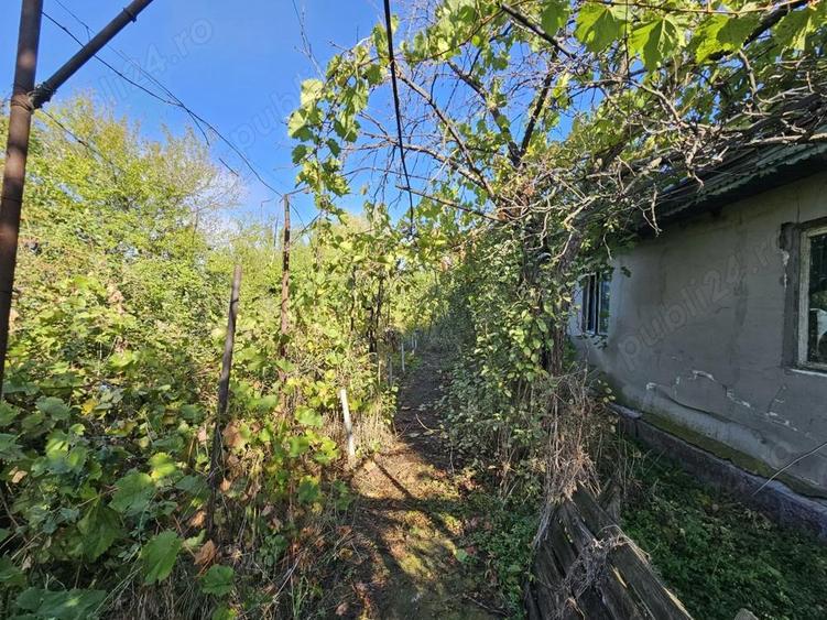 Casa cu teren Conduratu la 4 km de Mizil - 1