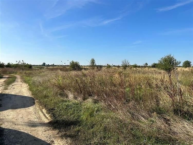 Teren Casa Mosnita Noua - 3