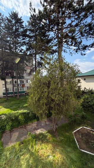 Apartament 2 camere Moreni - 3