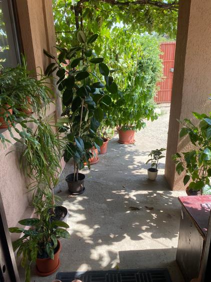 Tunari, central, casa 4 camere - 2