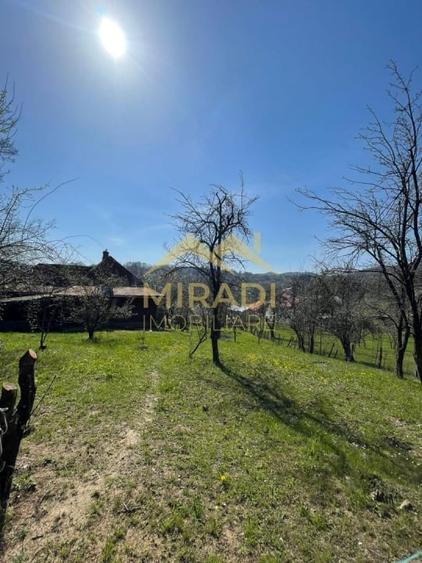 VANZARE CASA  TEREN - 7