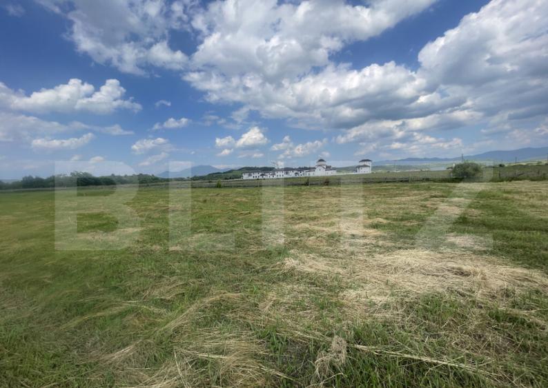 Teren extravilan 1200 mp Dorolea, aproape de Manastire - 4