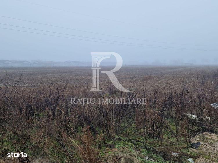 Teren intravilan | Santandrei | Bihor - 2