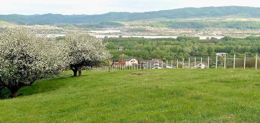 De vanzare teren intravilan 1000 mp - zona de exceptie - 1