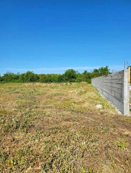 Vand teren IN TARGOVISTE, 565 m2 - 8