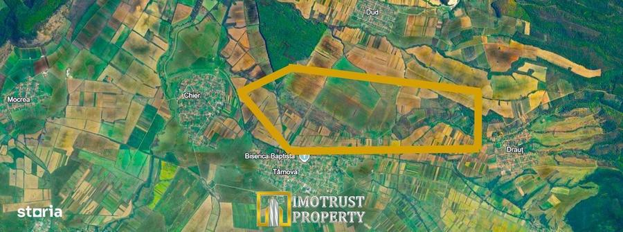 Teren agricol de vanzare in Tarnova Arad 3,78 ha loturi mici - 2