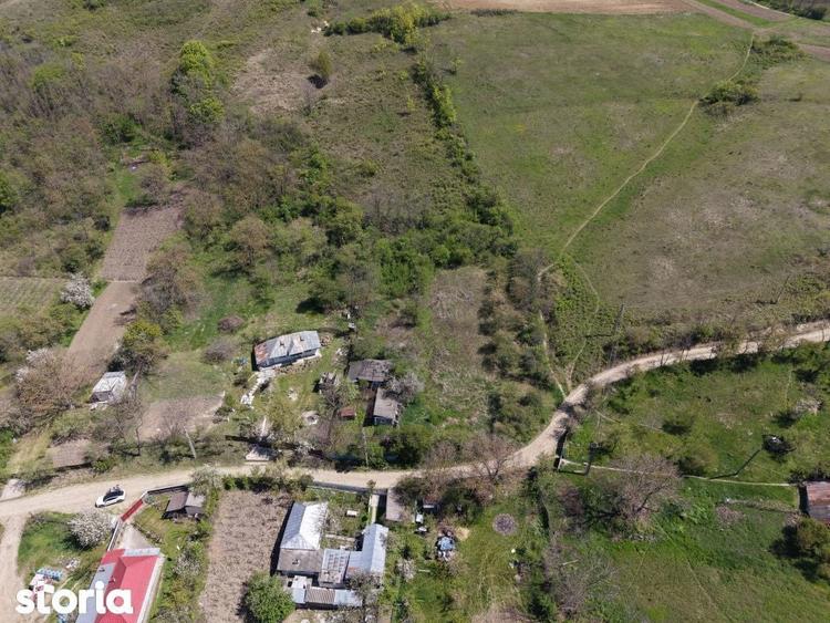 Teren de vanzare + casa in Gorghesti, Bacau 7.391 mp, zona linisti - 4