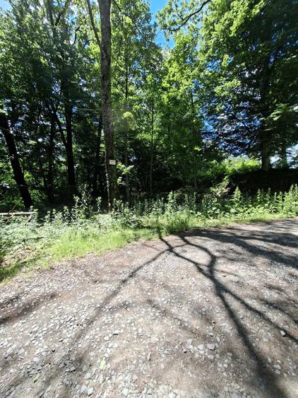 Teren intravilan in statiunea Sovata in vecinatatea lacului Negru - 1