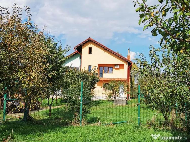 Vila Deosebita Rudicica - 8