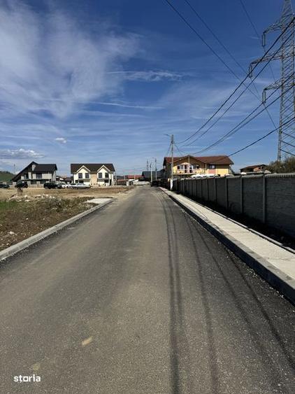 Loturi de 500MP zona Walter - Prelungirea Linistii - 4