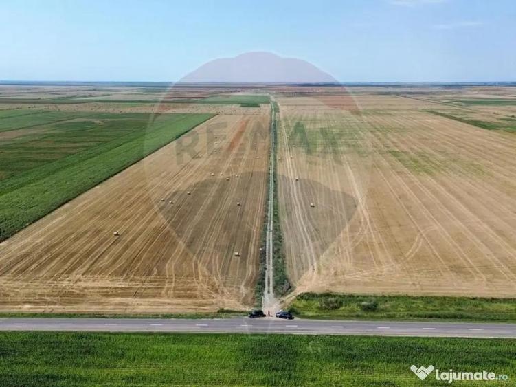 Ferma vegetala 148 ha ?i sediu ferma Maicanesti ! - 1