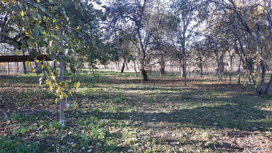 Casa de vanzare la ?ara Faureni, comuna Vultureni - 7