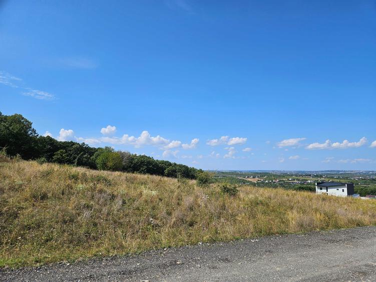 Teren in Pietraria 2.382 mp, langa padure, cu priveliste spre oras - 1