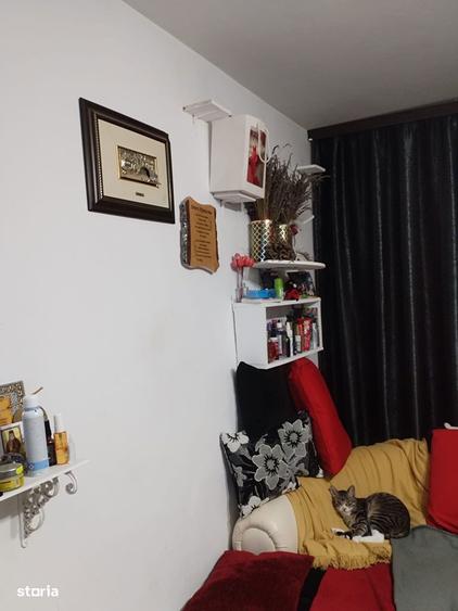 Apartament de 3 camere, parter - 2