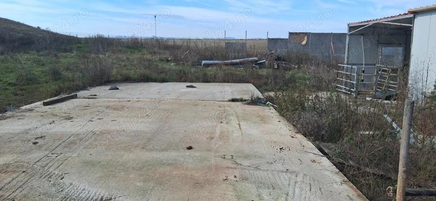 Ferma de vanzare , zona Dambu - 7