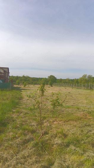 Tautii Magheraus, parcela 550 mp,strada 61, la doar 3300 euro ar. - 5