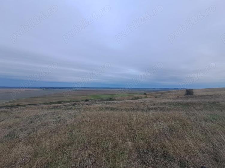 Teren în Ograda