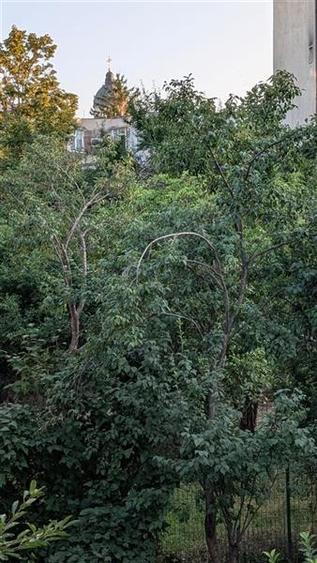 Chirie spatiu birouri 55mp - renovat - etaj 1 (apartament) - 5