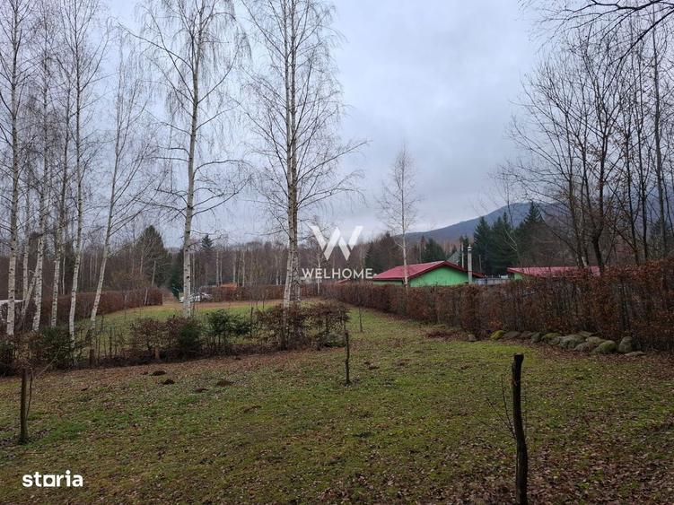 Teren deosebit pozitionat, cu livada, langa padure, pe Valea Avrigulu - 1