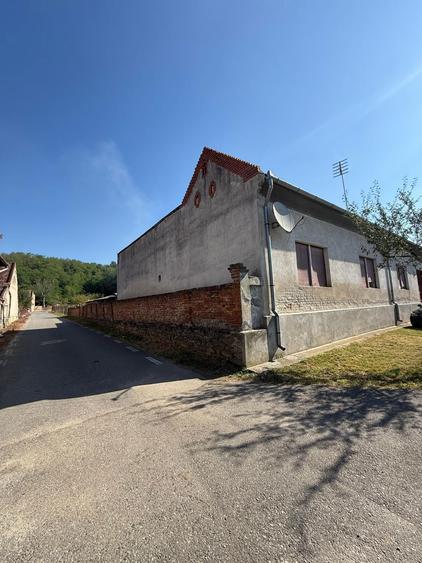 De vanzare Casa + Teren 3151m2 - 4