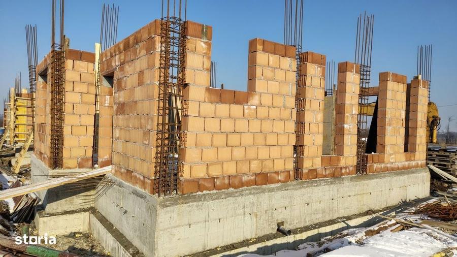 Vile individuale padurea Rosu - 1