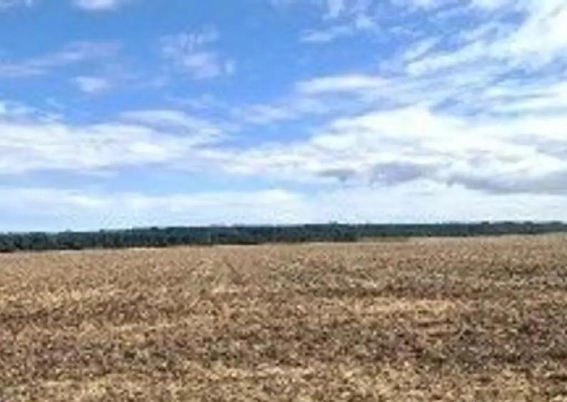 Teren extravilan Branesti, ID: R2649181 - 5