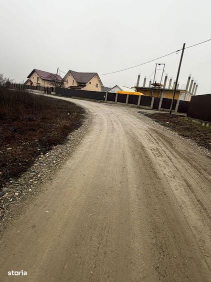 Vand Teren Hemeiusi sat Liliecipe strada prelungirea crinului - 8