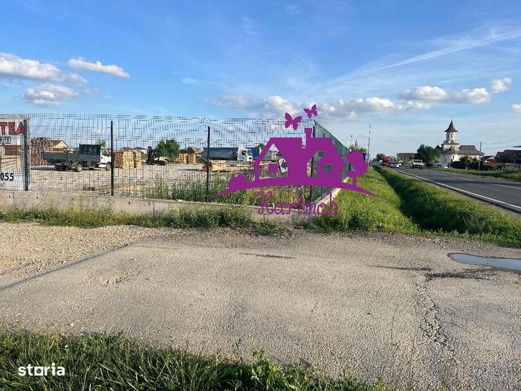 Teren de inchiriat Nojorid - 3