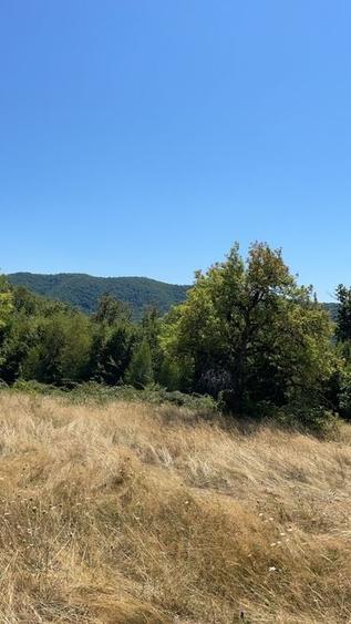 Teren Extravilan &icirc;n mijlocul naturii. - 5