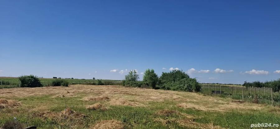 Casa si teren vanzare Catanele - 10