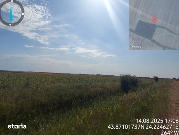 Teren de 2500 mp, în Urzica