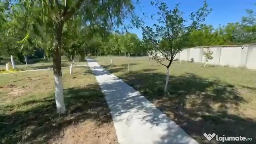 Casă cu 8 camere cu Teren 5000 Mp în Malu Mare