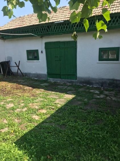 Casa 216mp cu vie si livada, 2500 mp teren – Horodistea, comuna Cotnari, Iasi - 5