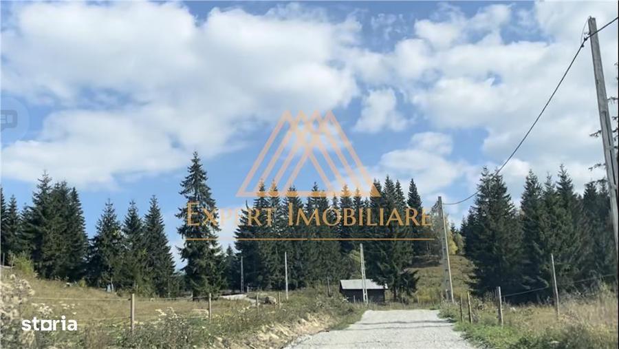 3 Hectare teren in varf de munte si 2 cabane pe traseul Via Transilva - 1