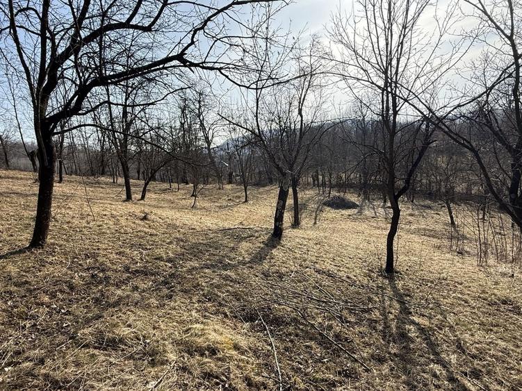 Teren intravilan 2788 mp deschidere 55 ml cu vedere panoramica ! - 4