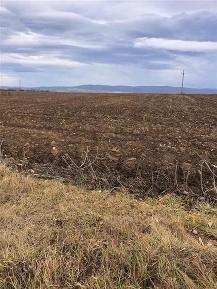 Teren pentru business 6300 MP Bucium la strada principala - 2