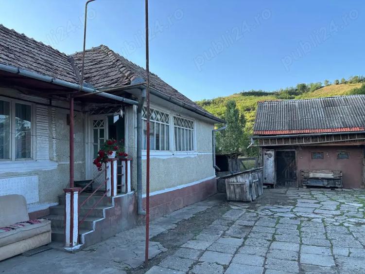 Casa de vanzare in comuna Lechinta - 1